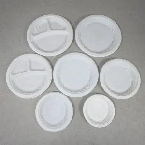 Compostable Party Plates