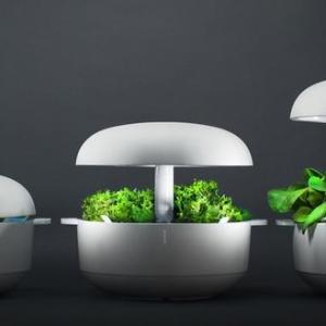 Smart Planters