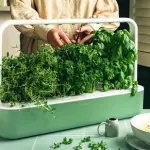 Hydroponic Starter Kits