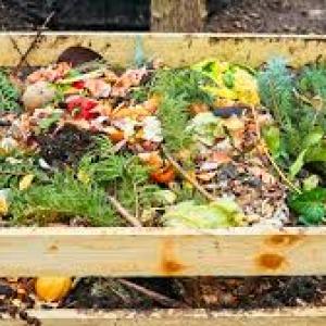 Compost Bins