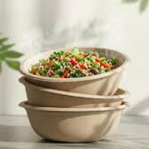 Sugarcane Bagasse Plates