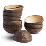 Coconut Shell Bowls