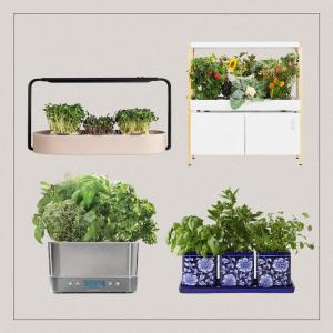 Indoor Herb Garden Kits