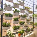 Balcony Garden Kits